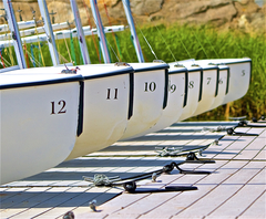 Image file: photo116.jpg