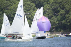 Image file: photo142.jpg