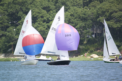 Image file: photo147.jpg