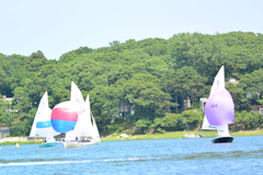 Image file: photo149.jpg