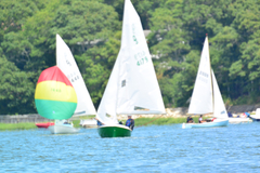 Image file: photo156.jpg