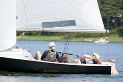 Image file: photo174.jpg