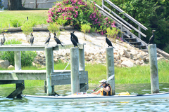 Image file: photo198.jpg