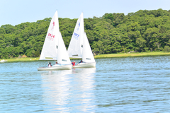 Image file: photo213.jpg