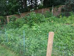 Image file: photo03.jpg