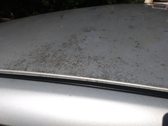 Image file: photo01.jpg