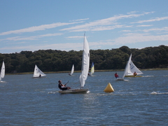 Image file: photo48.jpg