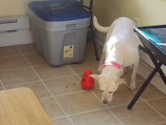 Image file: photo10.jpg