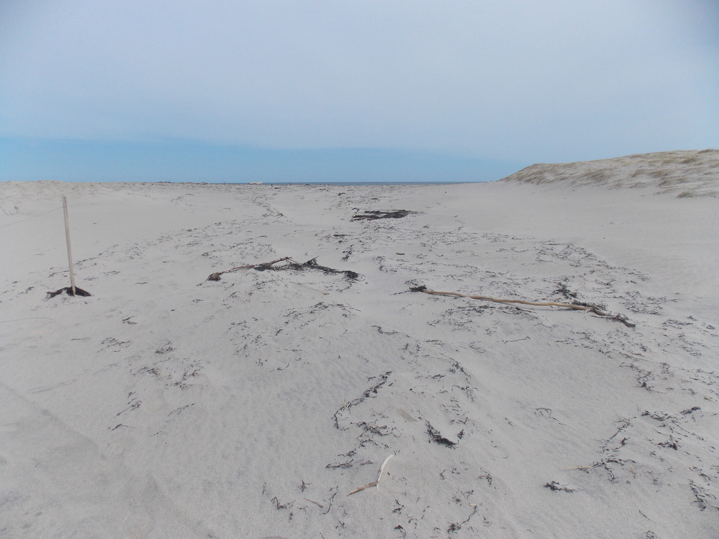 No description provided for: /2018/0320-nauset-storm-damage/photo04.html
