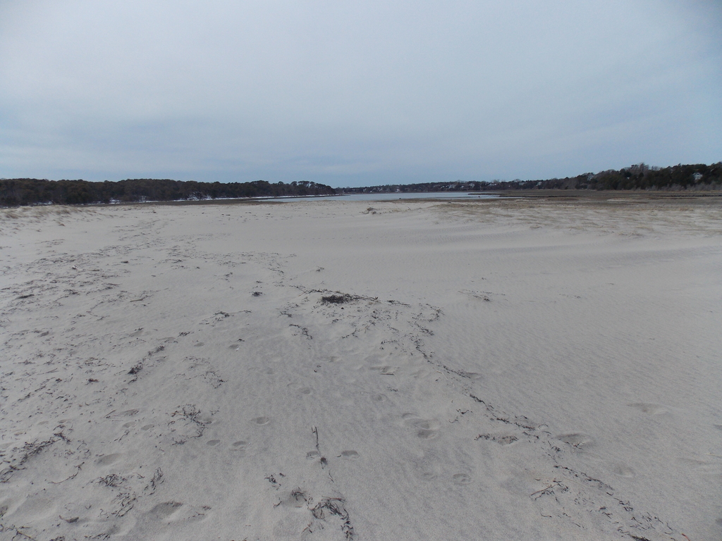 No description provided for: /2018/0320-nauset-storm-damage/photo05.html