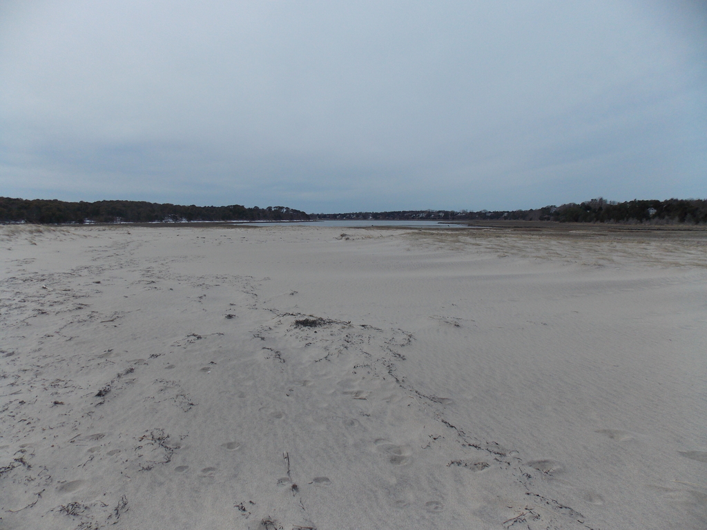 No description provided for: /2018/0320-nauset-storm-damage/photo06.html