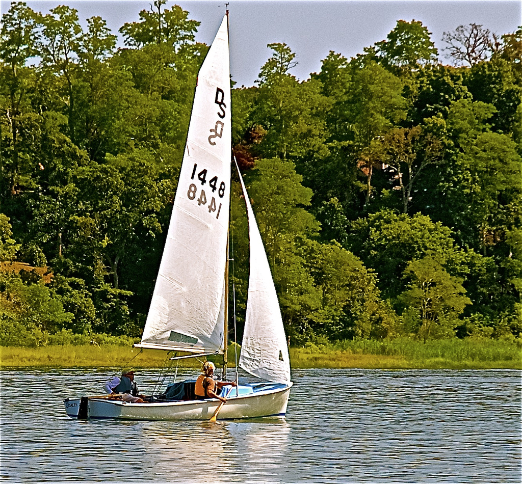 No description provided for: /2018/0714-ds-regatta-anton-asa/_4/photo076.html