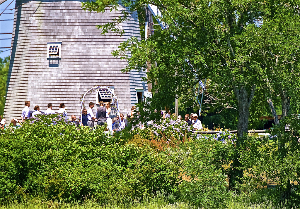 No description provided for: /2018/0714-ds-regatta-anton-asa/_14/photo329.html