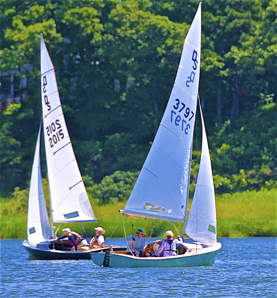No description provided for: /2018/0714-ds-regatta-anton-asa/_14/photo341.html