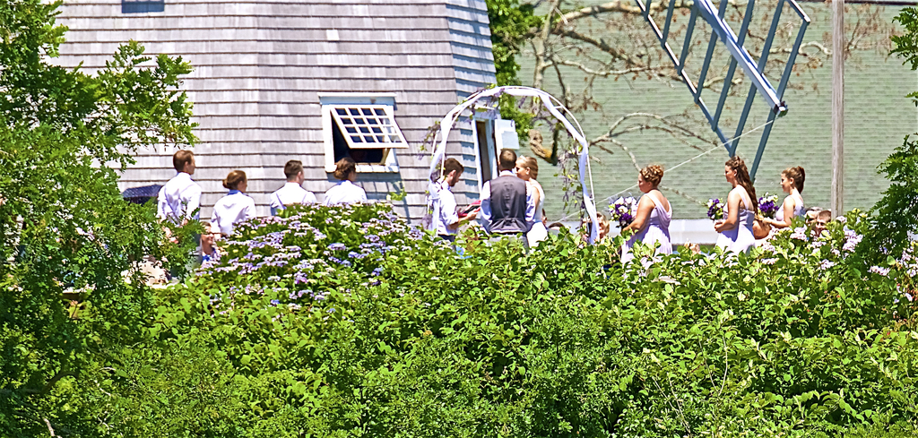 No description provided for: /2018/0714-ds-regatta-anton-asa/_14/photo342.html