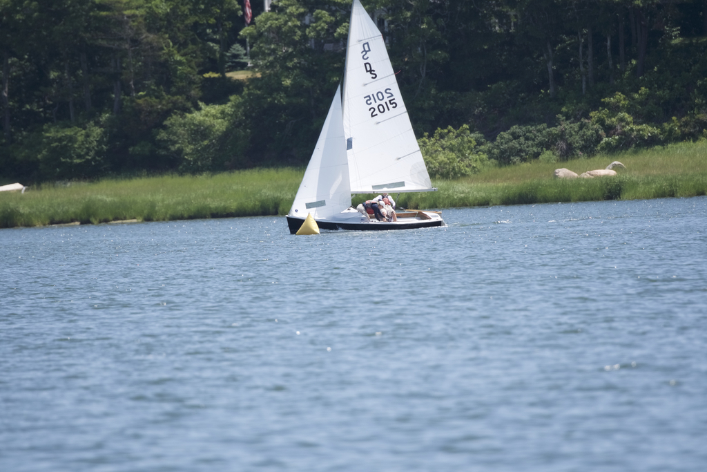 No description provided for: /2018/0714-ds-regatta-anton-asa/_14/photo344.html