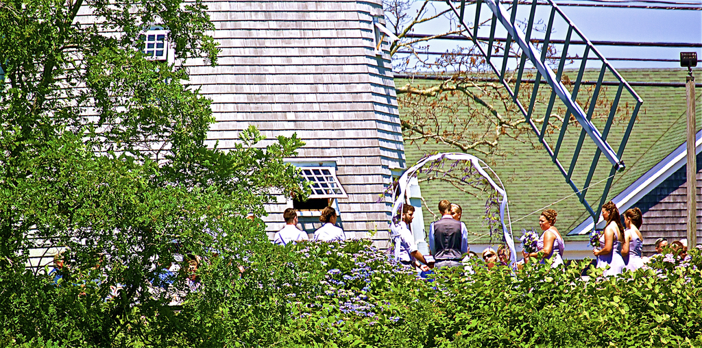 No description provided for: /2018/0714-ds-regatta-anton-dsc/_3/photo056.html