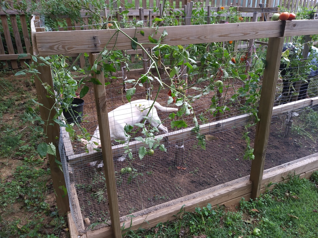 No description provided for: /2018/0820-erin-weeds/photo01.html