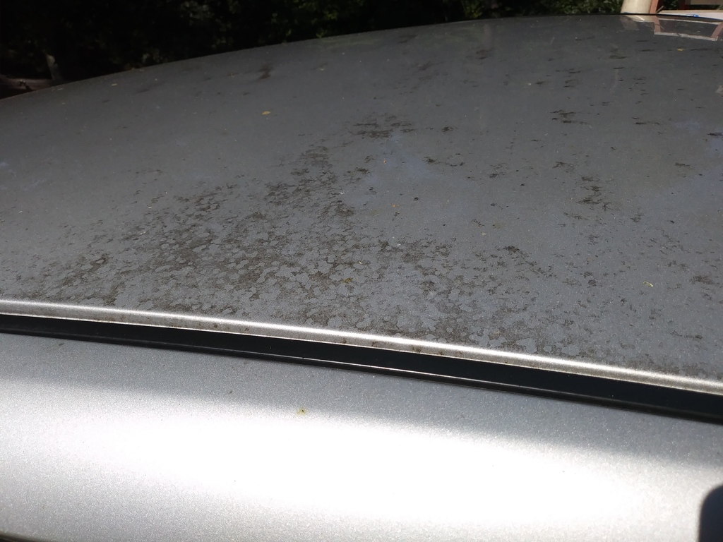 No description provided for: /2018/0905-bad-car-wash/photo01.html