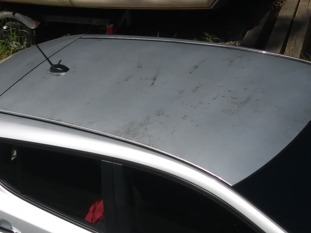 No description provided for: /2018/0905-bad-car-wash/photo02.html