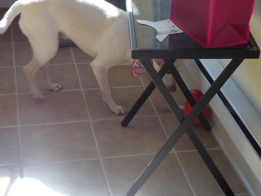 No description provided for: /2018/0930-lily-bday/photo09.html