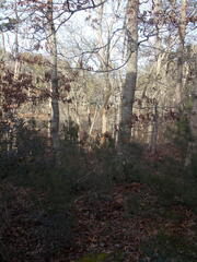 Image file: photo04.jpg