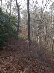 Image file: photo05.jpg