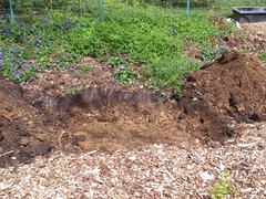 Image file: photo02.jpg