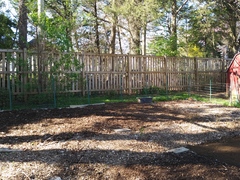 Image file: photo01.jpg