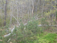 Image file: photo02.jpg