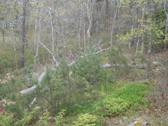 Image file: photo03.jpg