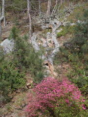 Image file: photo01.jpg