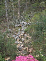 Image file: photo01.jpg