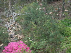 Image file: photo02.jpg