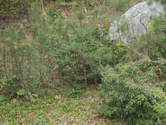 Image file: photo04.jpg