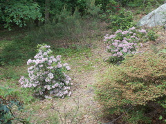 Image file: photo01.jpg