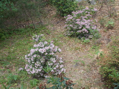 Image file: photo02.jpg