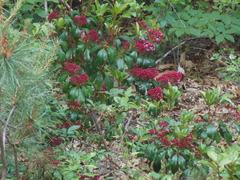 Image file: photo04.jpg