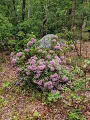 Image file: photo02.jpg