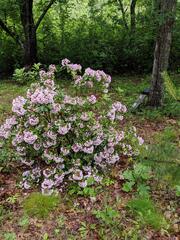 Image file: photo03.jpg