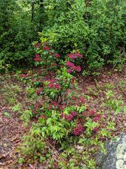 Image file: photo04.jpg