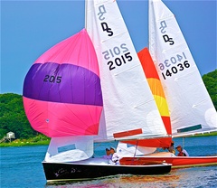 Image file: photo161.jpg