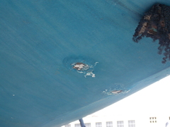 Image file: photo27.jpg