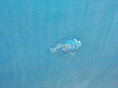 Image file: photo29.jpg