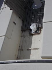 Image file: photo29.jpg