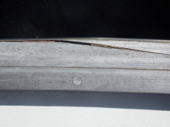 Image file: photo41.jpg