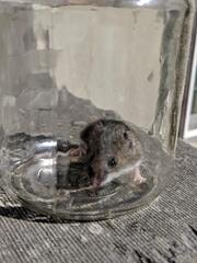 Image file: photo02.jpg