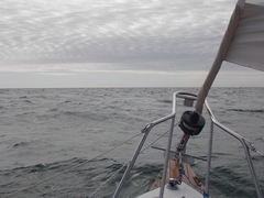 Image file: photo02.jpg