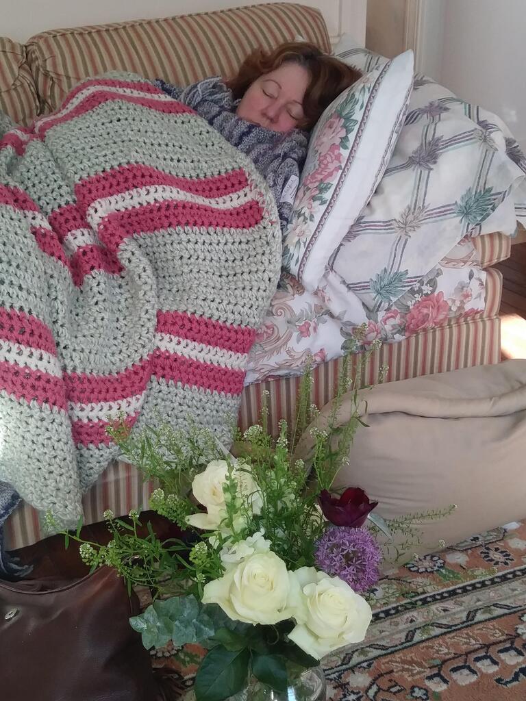 No description provided for: /2019/01-03/0131-tara-get-well/photo01.html