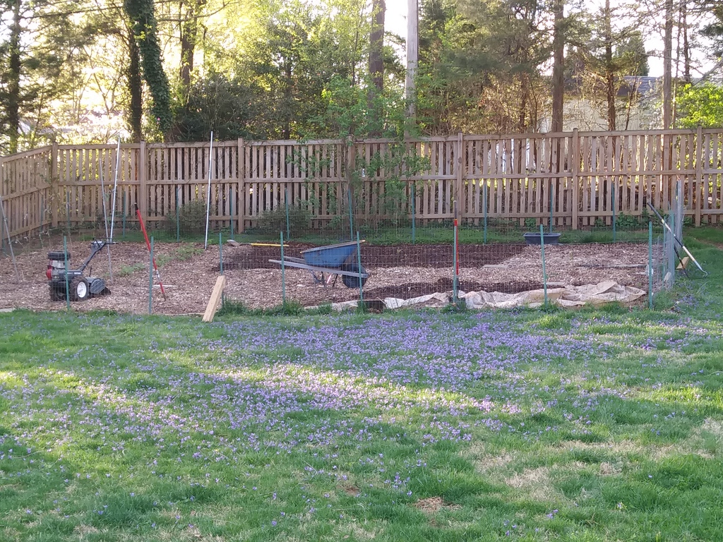 No description provided for: /2019/04-06/0415-erin-garden/photo04.html